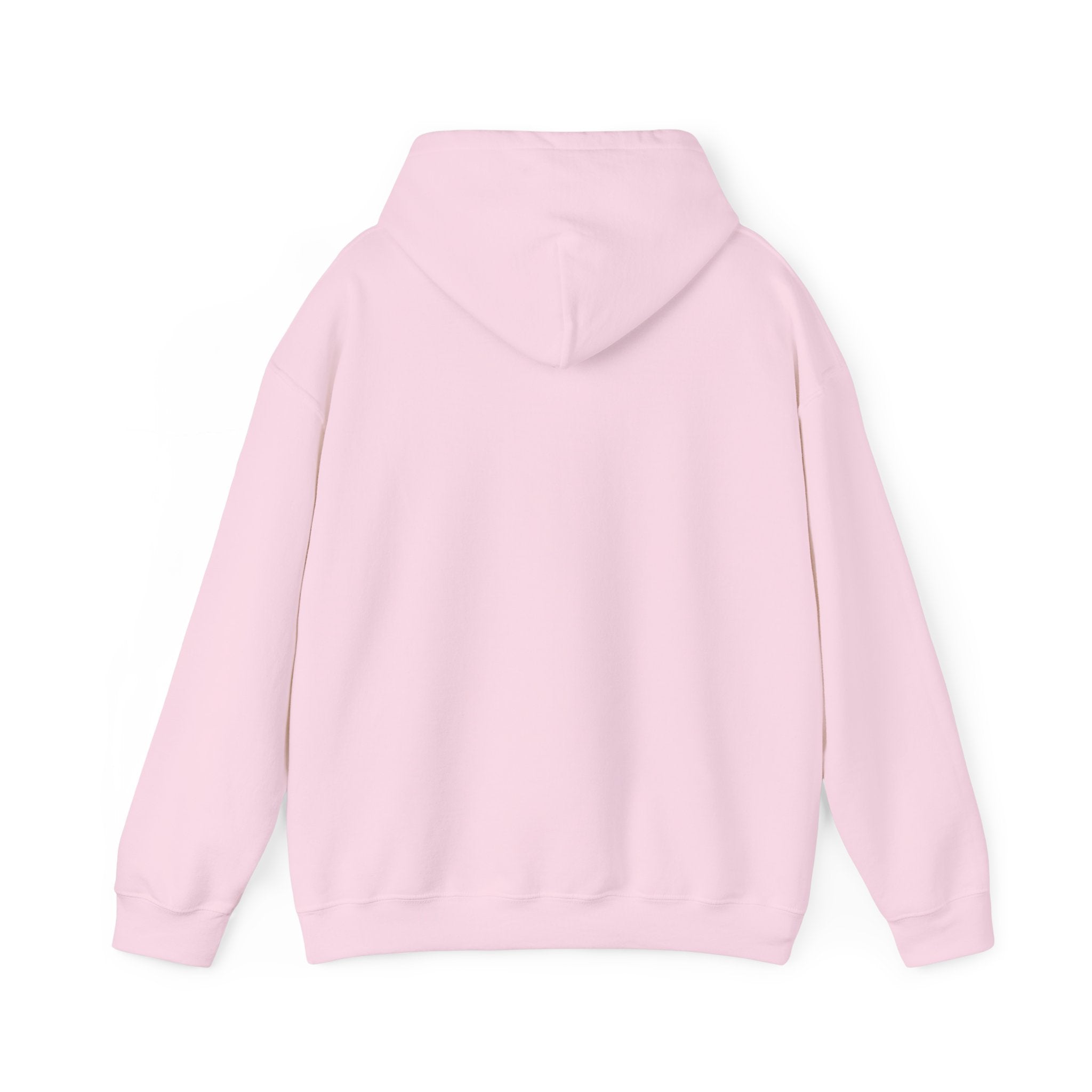 Eye Don't Chase Hooded Sweatshirt